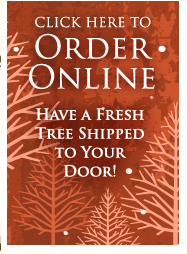 Online Store - Trees, Wreaths & more!